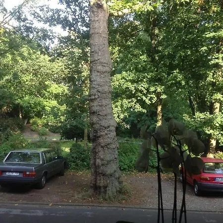 Garten 겔젠키르헨